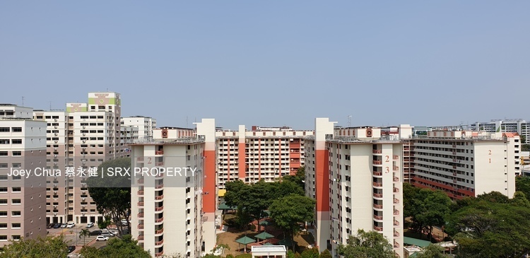 Blk 29A Chai Chee Avenue (Bedok), HDB Executive #200090502